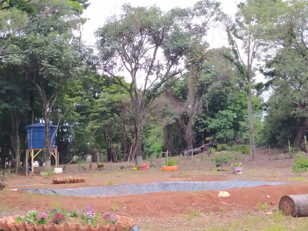 Serginho e Chinho Serviços de Prestação de Jardinagem em Geral